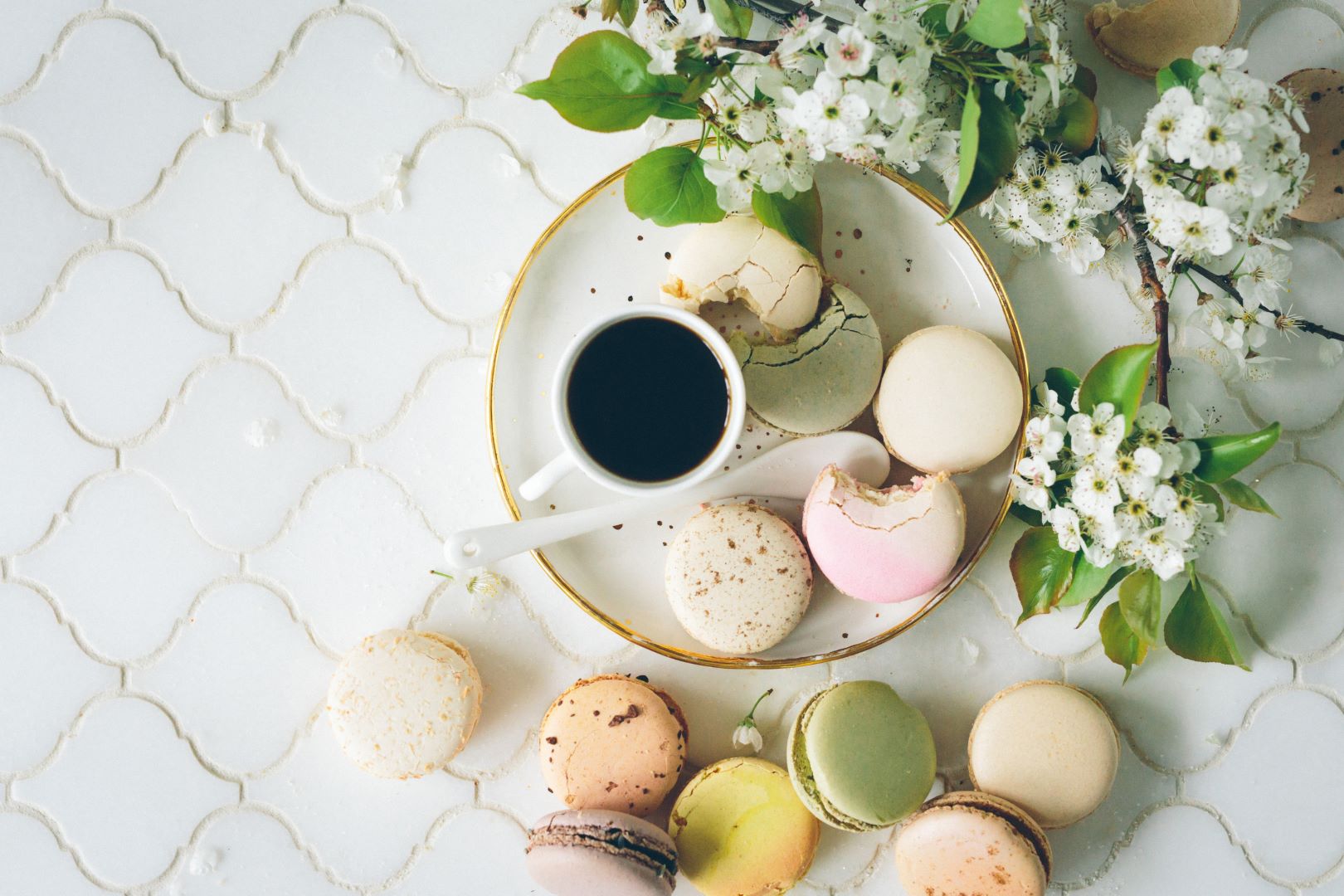 Transforma tu Cocina esta Primavera: Ideas Frescas con Plantas